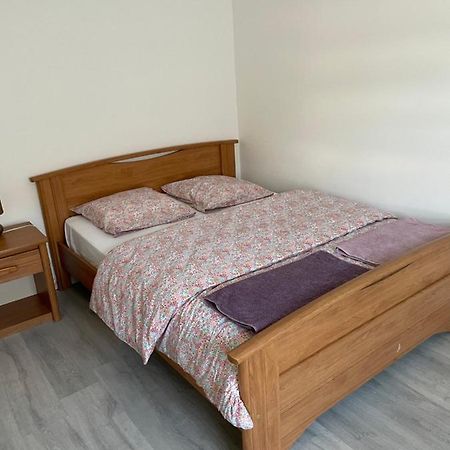 Au Coeur Des Vosges Apartment Saint-Etienne-les-Remiremont Luaran gambar