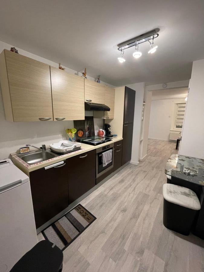Au Coeur Des Vosges Apartment Saint-Etienne-les-Remiremont Luaran gambar